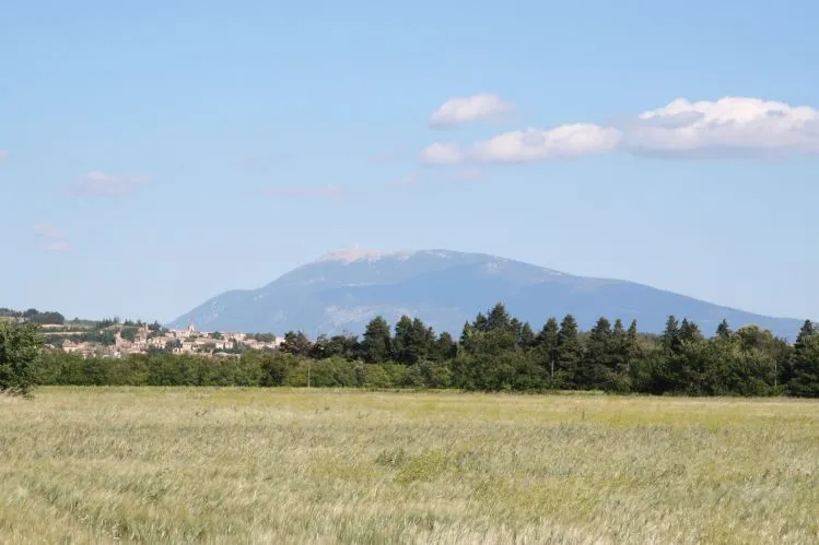 Le mont Ventoux au-dessus de la plaine de Visan