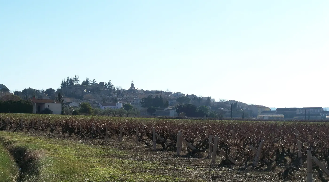 De vieux ceps taillés en gobelet en hiver, le village de Visan sur sa colline